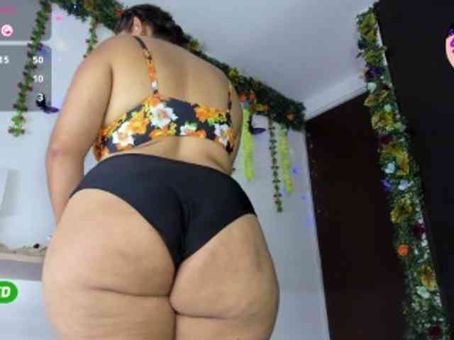 Elikolanny webcam