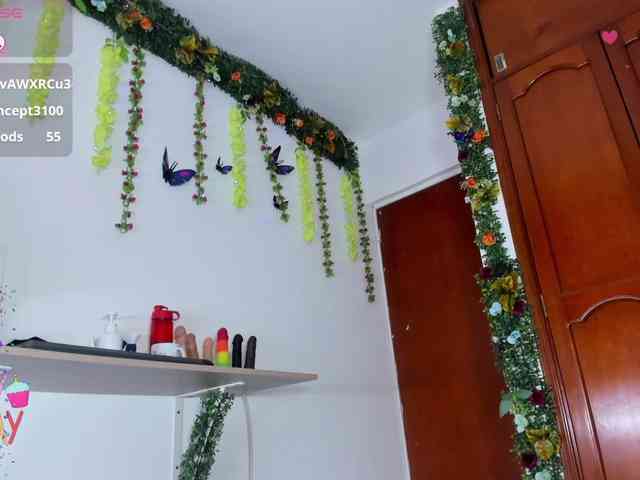 Elikolanny webcam