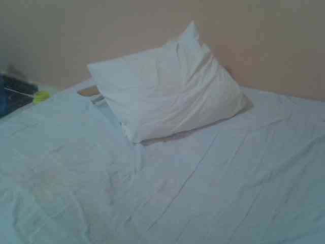 Tashabea webcam