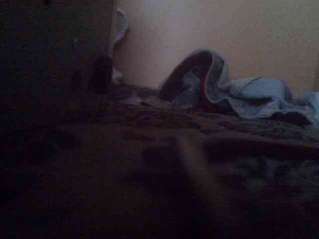 Tashabea webcam