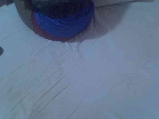 Tashabea webcam