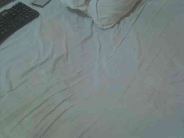 Tashabea webcam