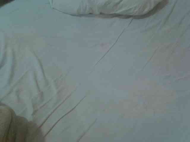 Tashabea webcam