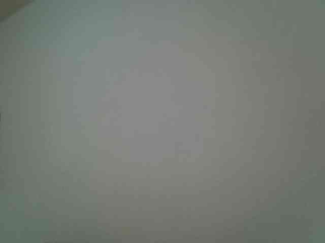 Tashabea webcam