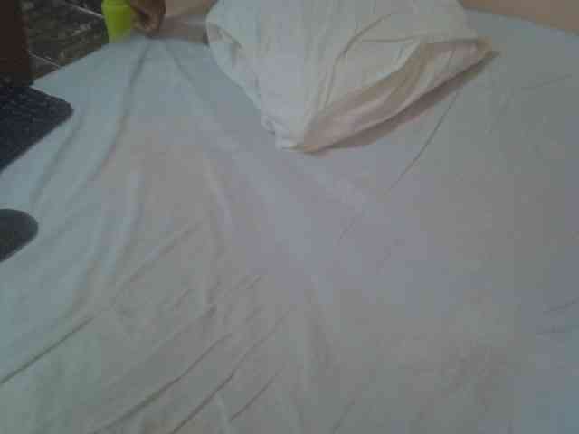 Tashabea webcam