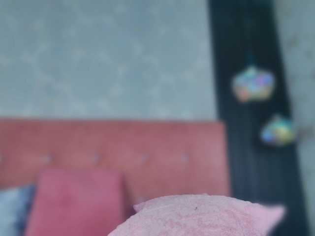 ElizabetthKitty live cam on BongaCams