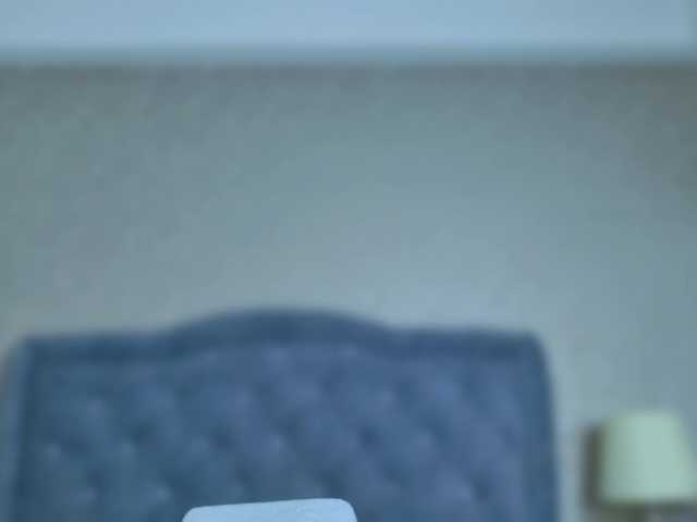ElizabetthKitty live cam on BongaCams