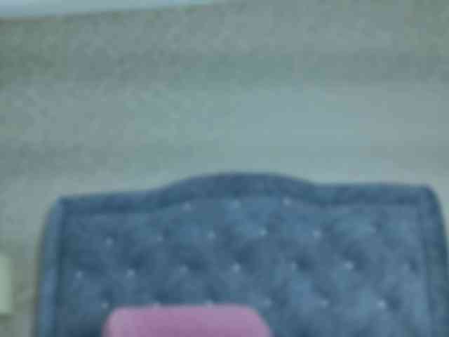 ElizabetthKitty webcam