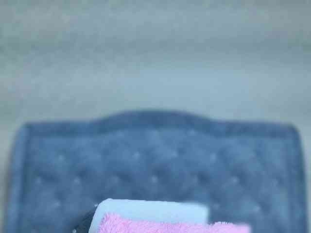 ElizabetthKitty webcam