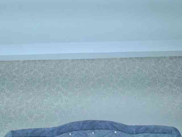 ElizabetthKitty webcam
