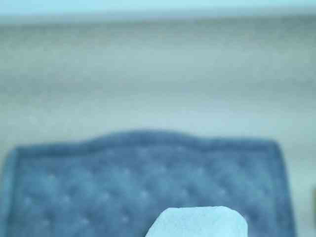 ElizabetthKitty webcam