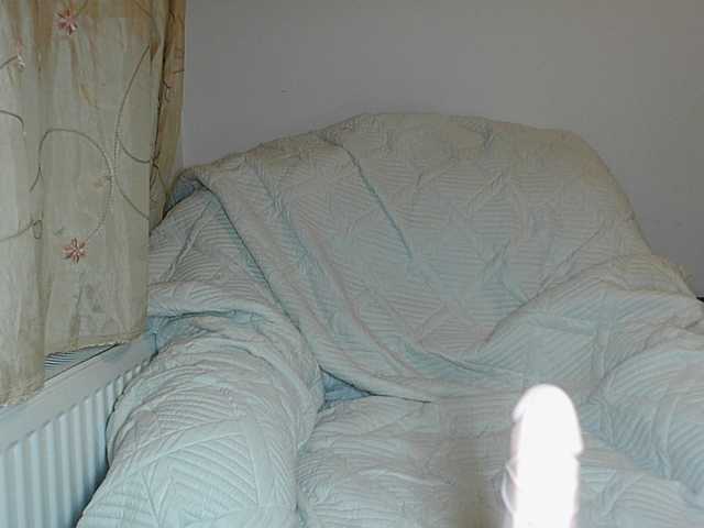 JanetJay