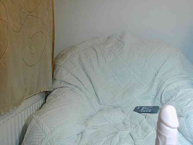 JanetJay webcam