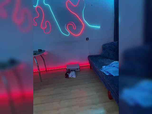 YuGoVi webcam