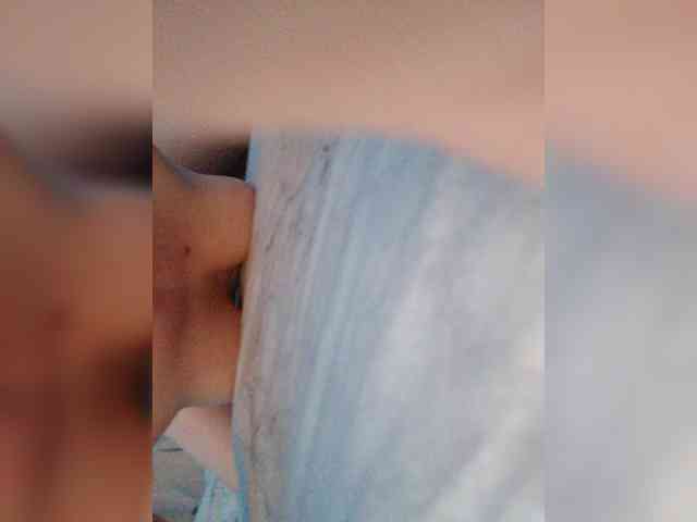 Annass-fox webcam