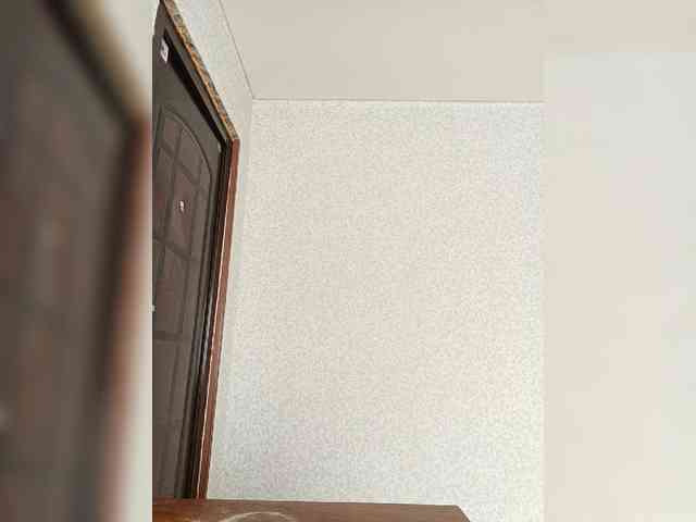 Lisann webcam