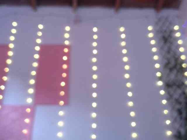 calioppe1