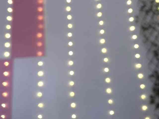calioppe1
