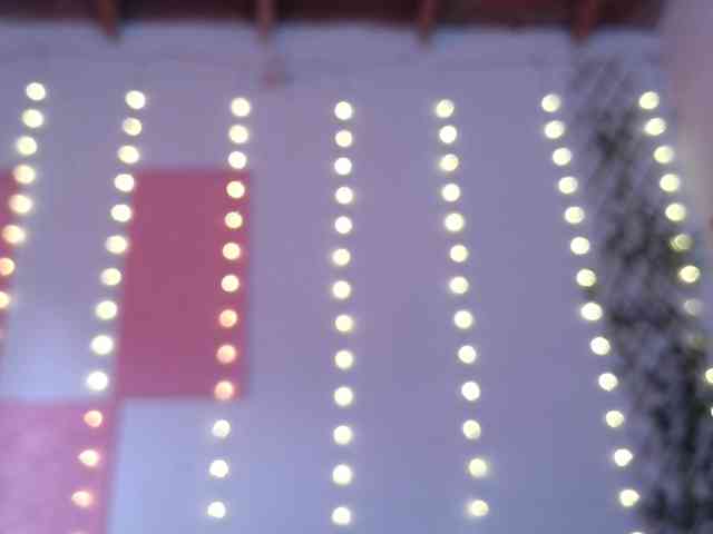 calioppe1