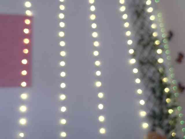 calioppe1