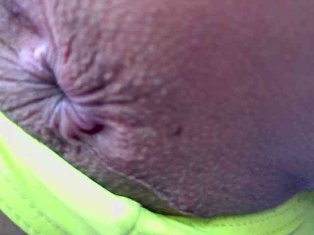 calioppe1