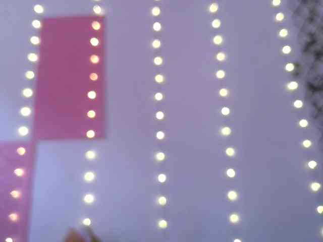 calioppe1