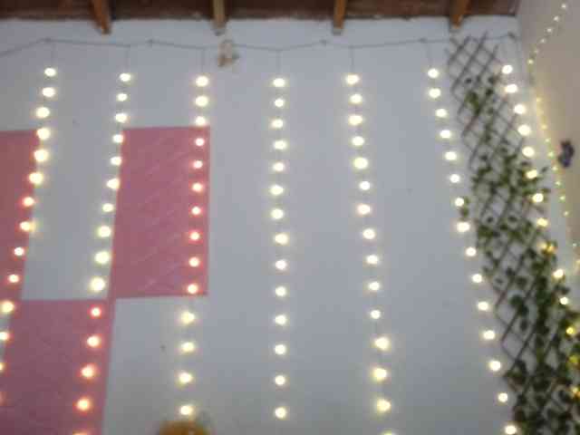 calioppe1