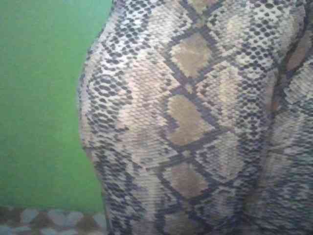 alarah274 webcam