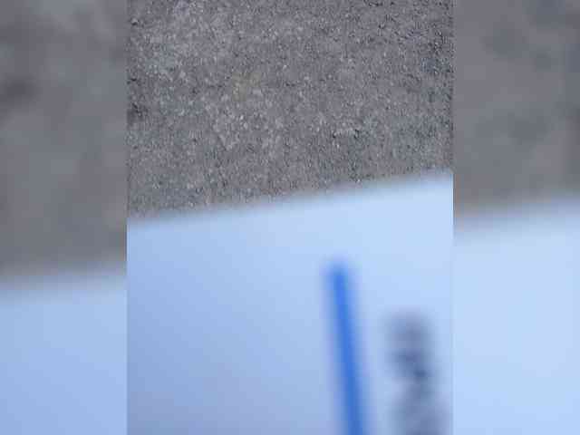 Jakonda771177