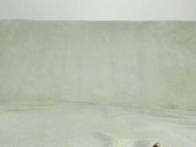 MiaMeowa Live Cam and Statistics on UnifiedCams