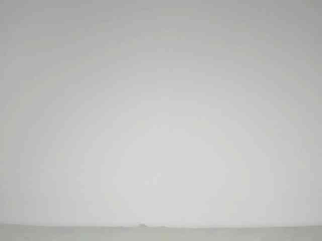 MiaMeowa webcam