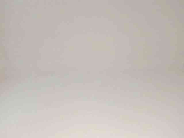 MiaMeowa webcam