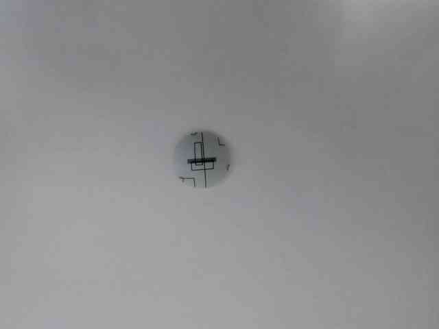 MiaMeowa webcam
