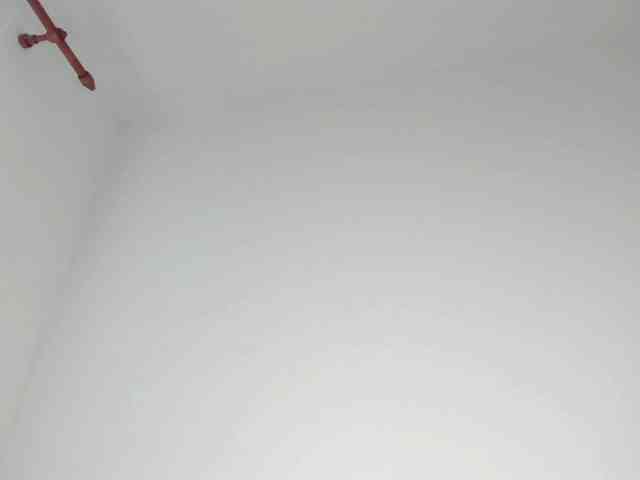 MiaMeowa Live Webcam on BongaCams
