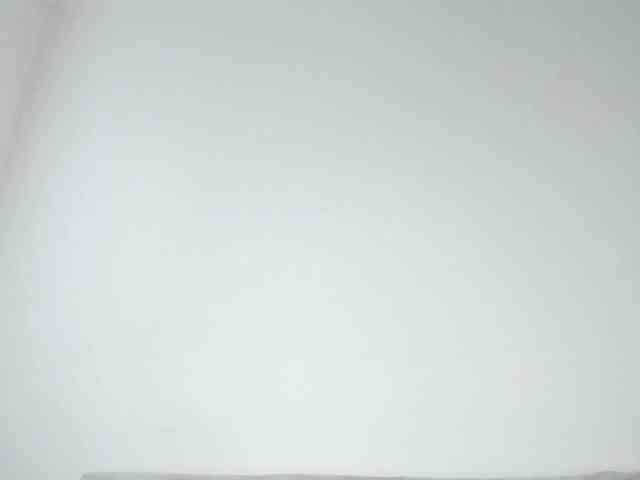 MiaMeowa webcam
