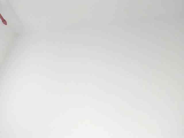 MiaMeowa webcam