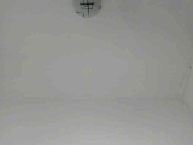 MiaMeowa webcam