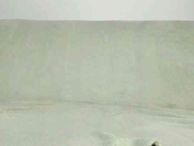 MiaMeowa webcam