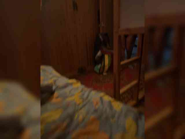 MokoMila webcam