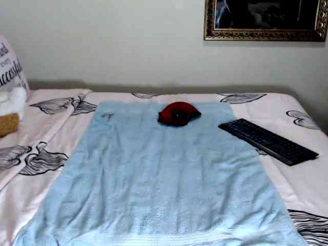 FitBlair66