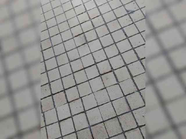 Vitas401