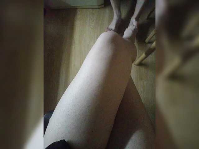 Pechalka live cam on BongaCams