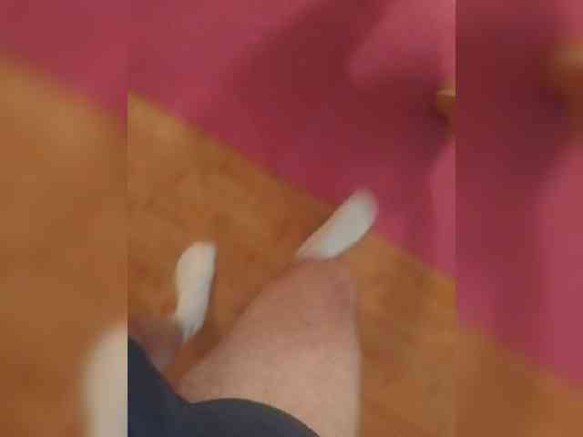 Nepechalka webcam