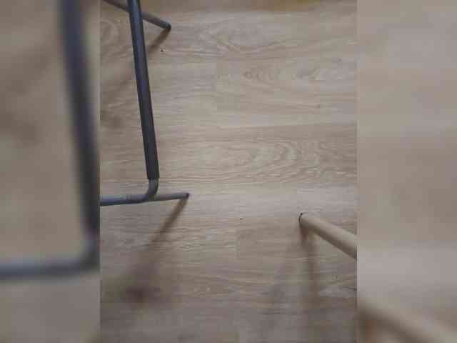 Nepechalka webcam