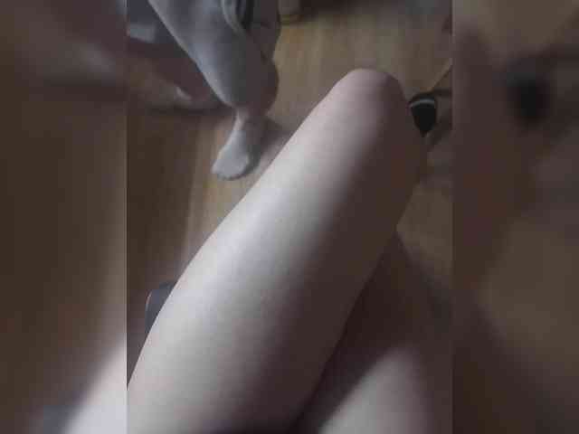 Nepechalka webcam