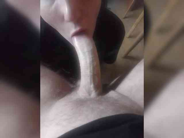 Nepechalka webcam