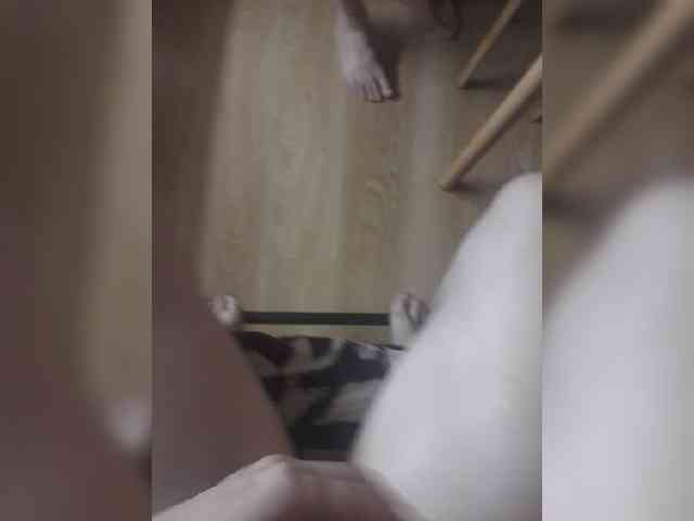 Nepechalka webcam