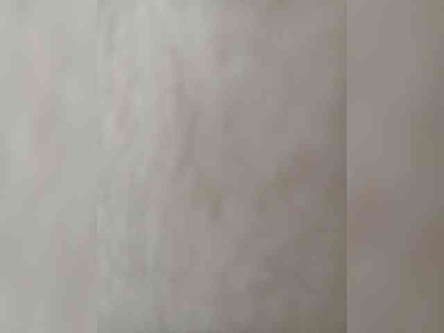 Nepechalka webcam
