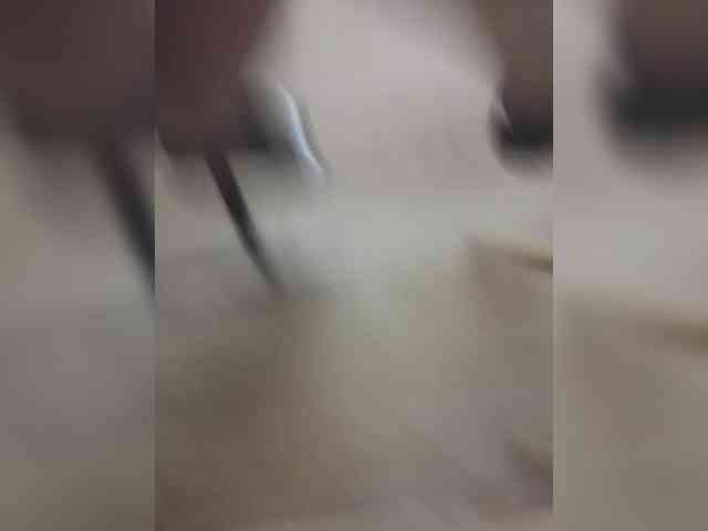 Nepechalka webcam