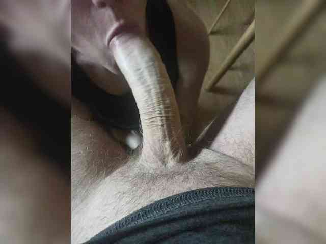 Nepechalka webcam